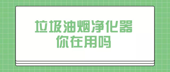 垃圾~油烟净化器~分类指南